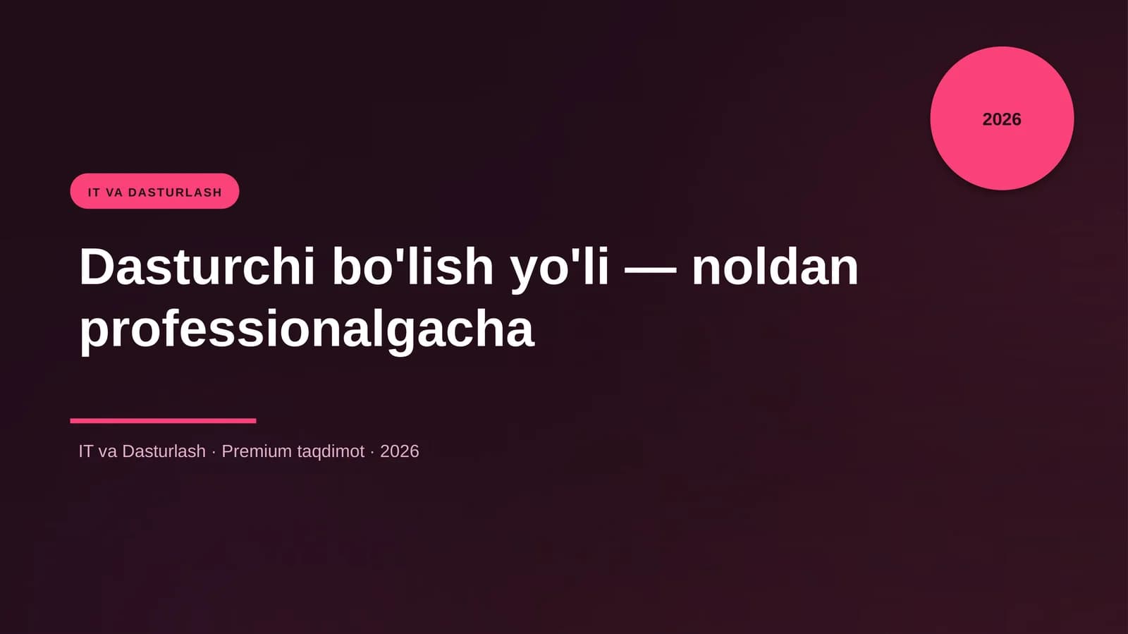 Dasturchi bo'lish yo'li — noldan professionalgacha
