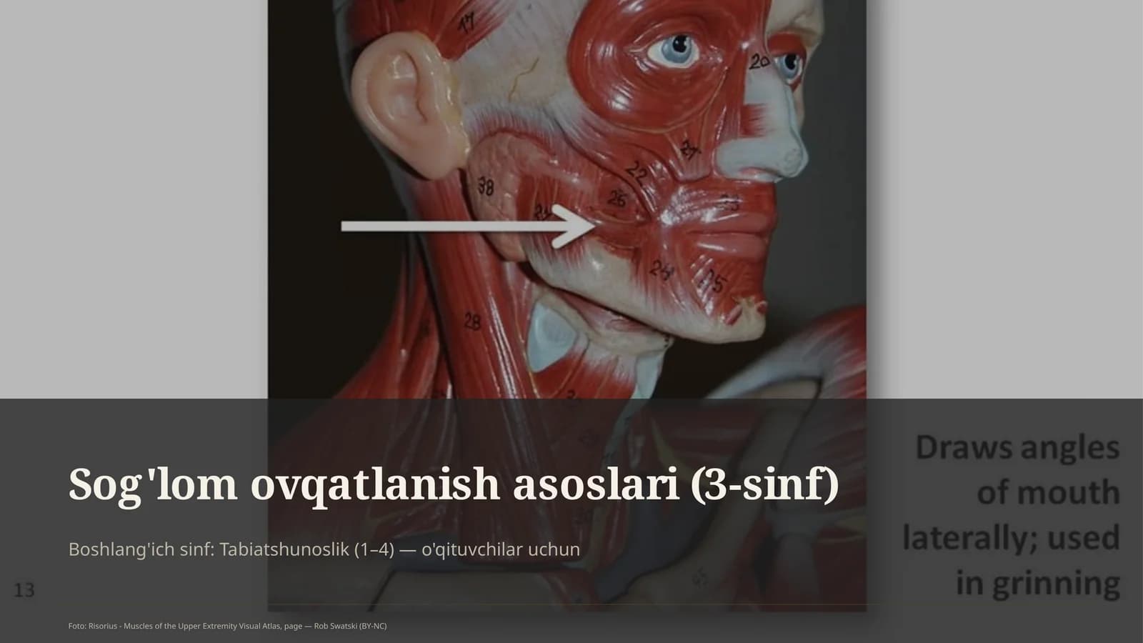 Sog'lom ovqatlanish asoslari (3-sinf)