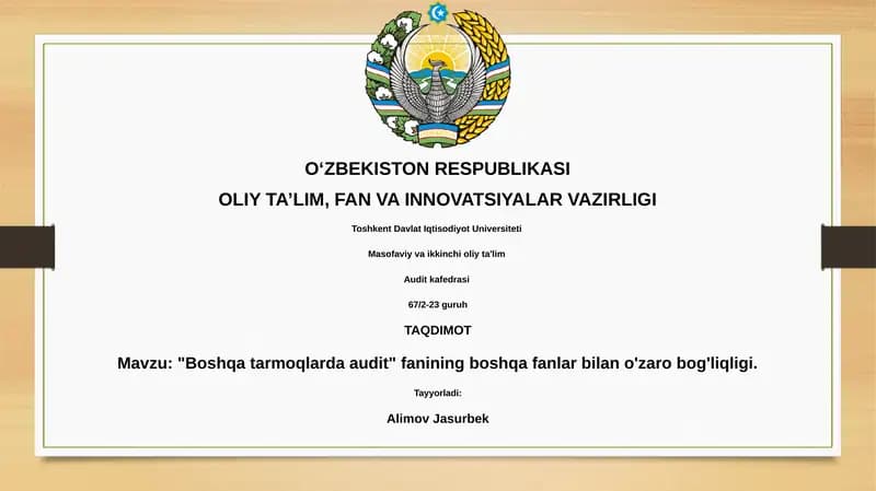 Boshqa tarmoqlarda audit