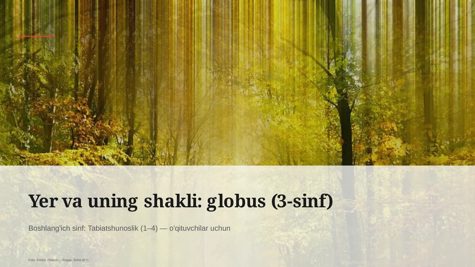 Yer va uning shakli: globus (3-sinf)