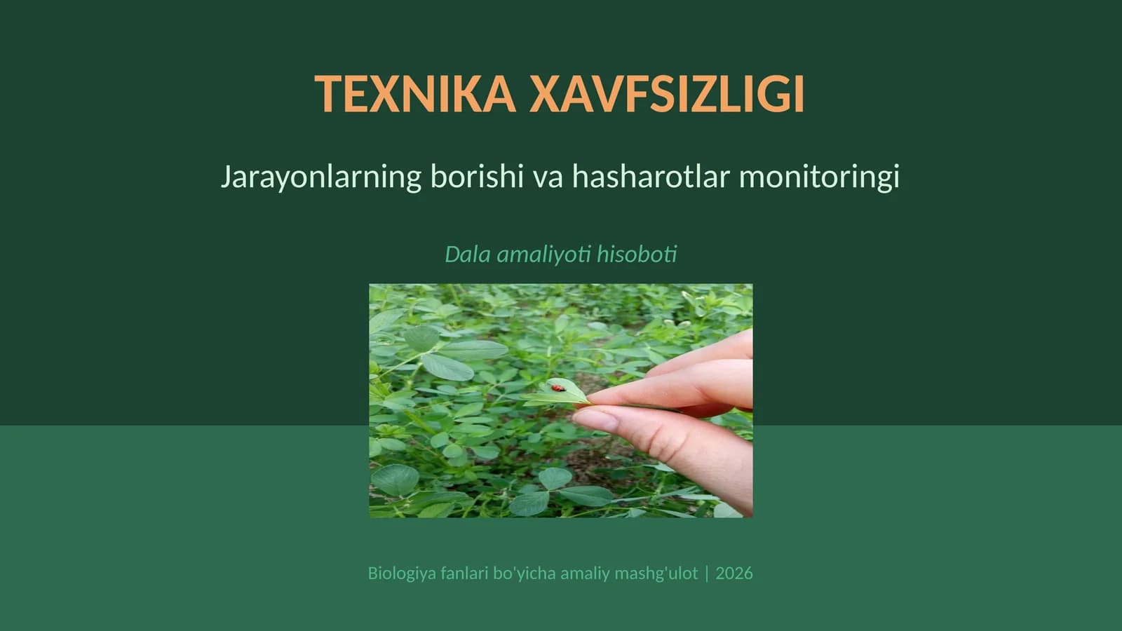 TEXNIKA XAVFSIZLIGI