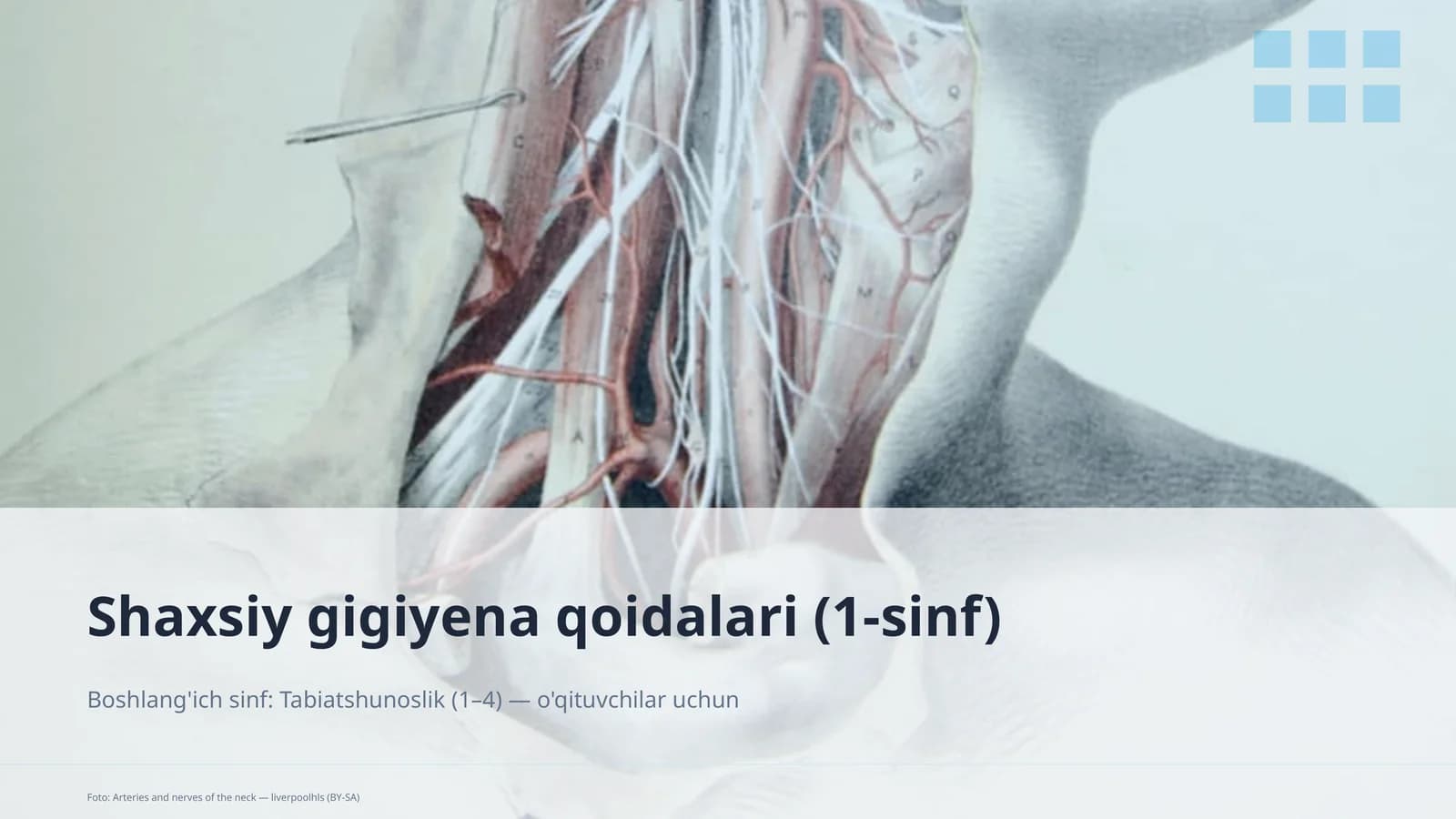 Shaxsiy gigiyena qoidalari (1-sinf)