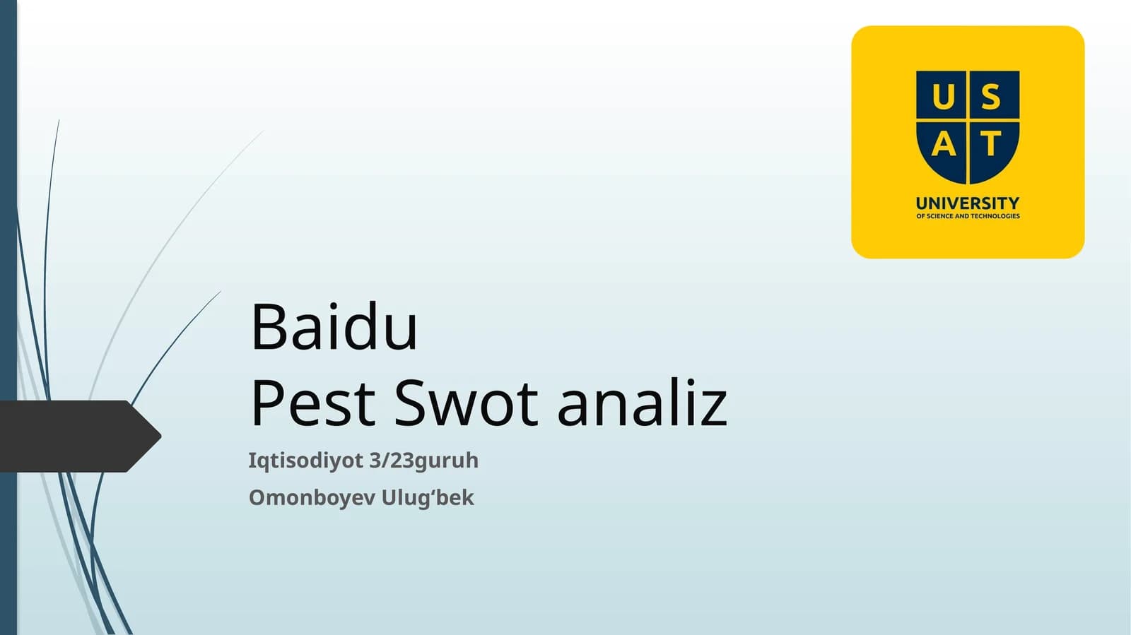 BaiduPest Swotanaliz