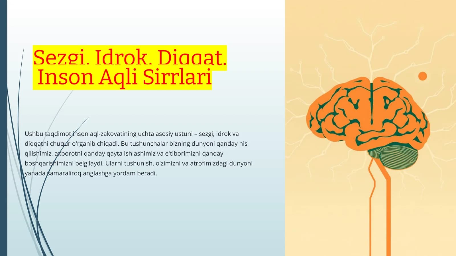 Sezgi, Idrok, Diqqat. Inson Aqli Sirrlari