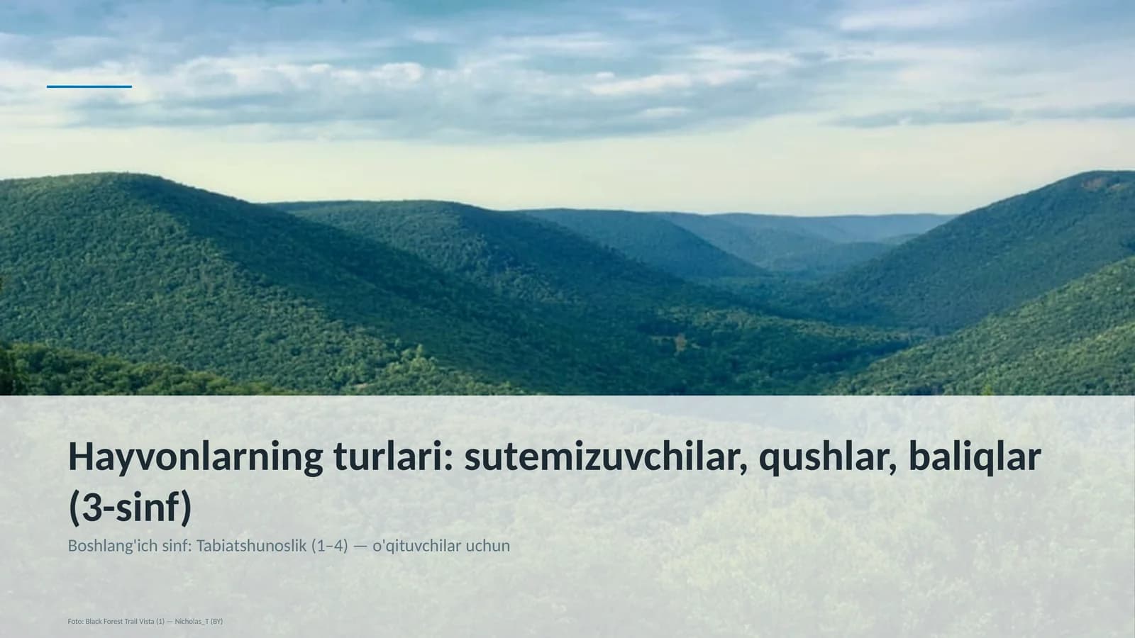 Boshlang'ich sinf: Tabiatshunoslik (1–