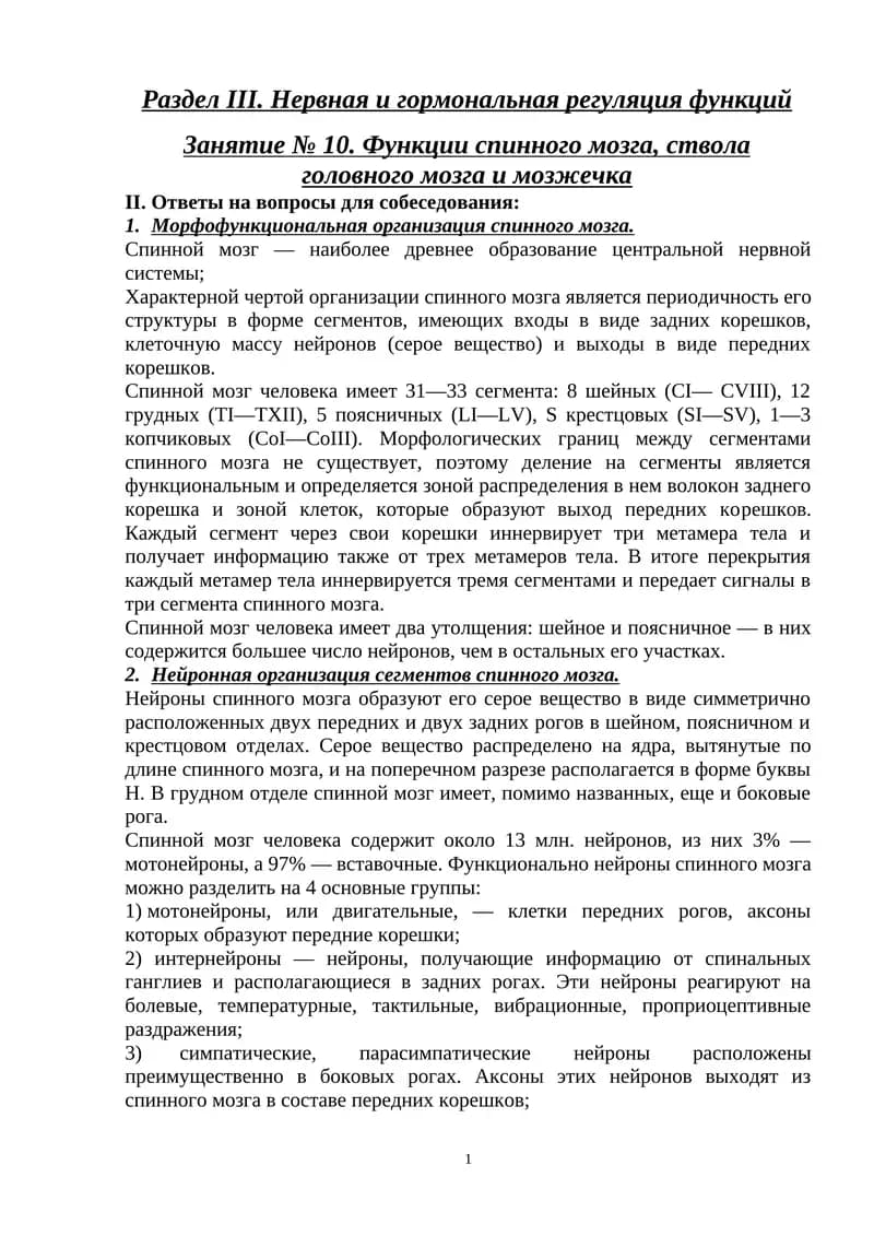 Функции спинного мозга, ствола головного мозга и мозжечка