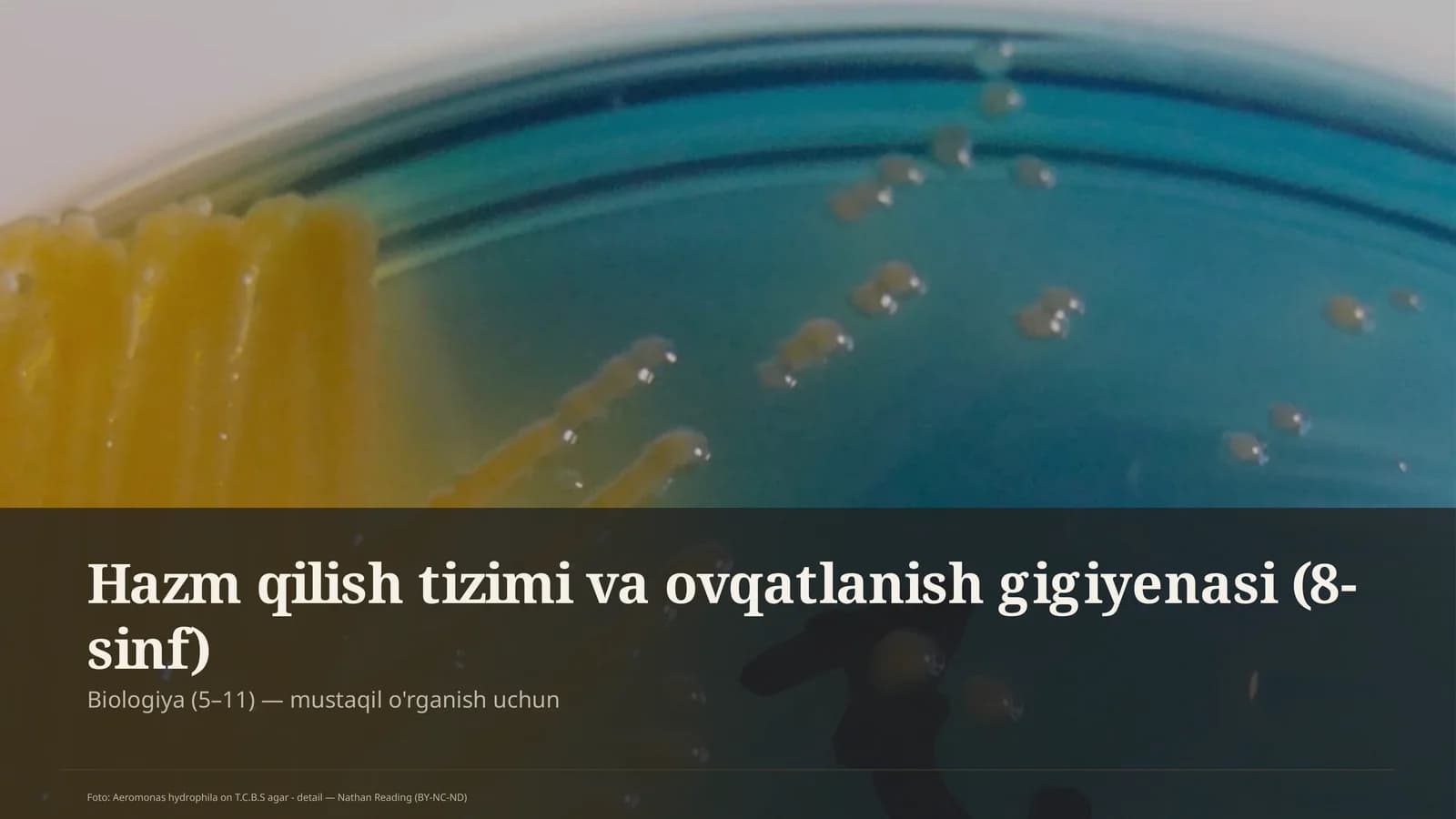 Hazm qilish tizimi va ovqatlanish gigiyenasi (8-sinf)