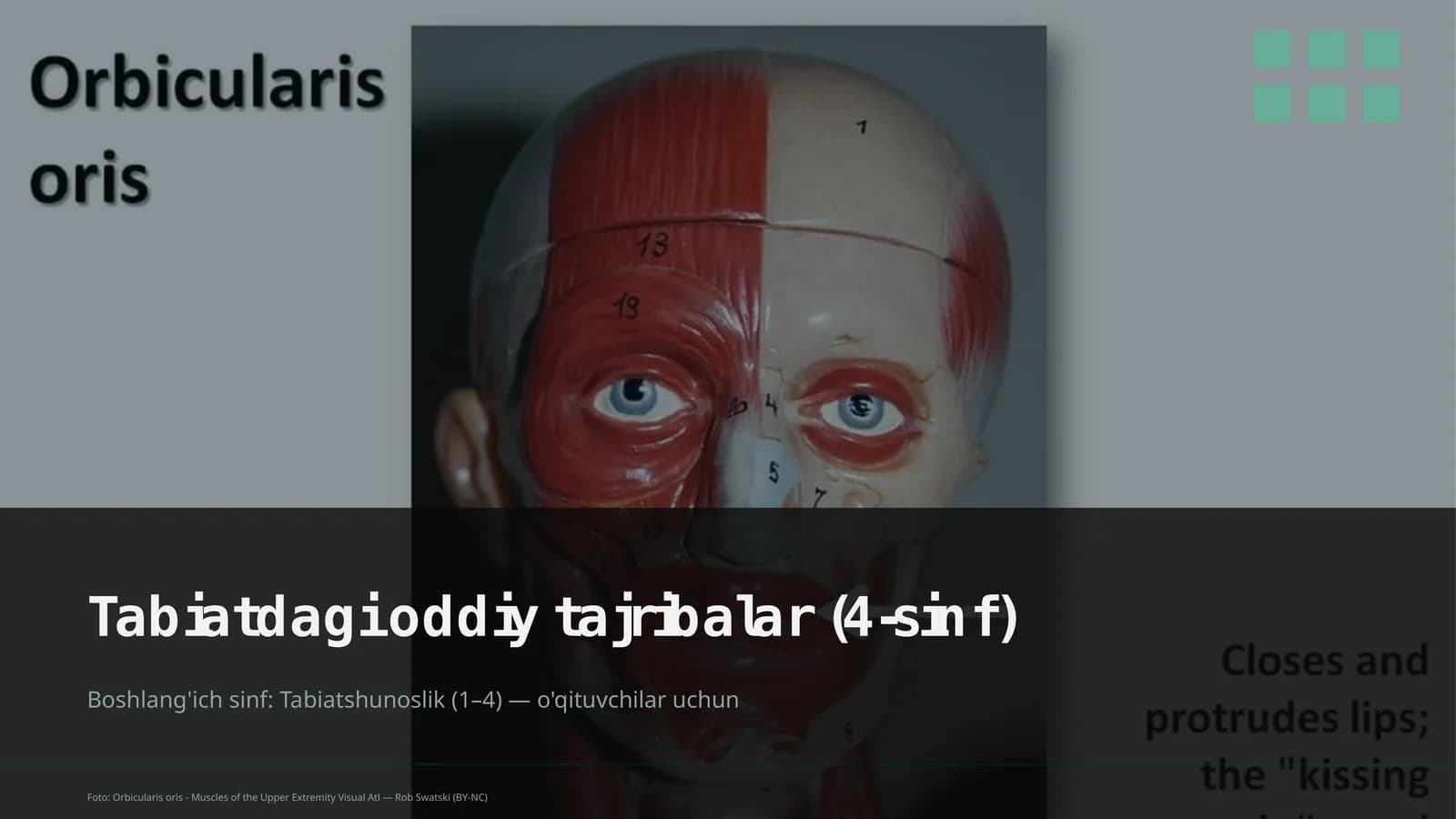 Tabiatdagi oddiy tajribalar (4-sinf)