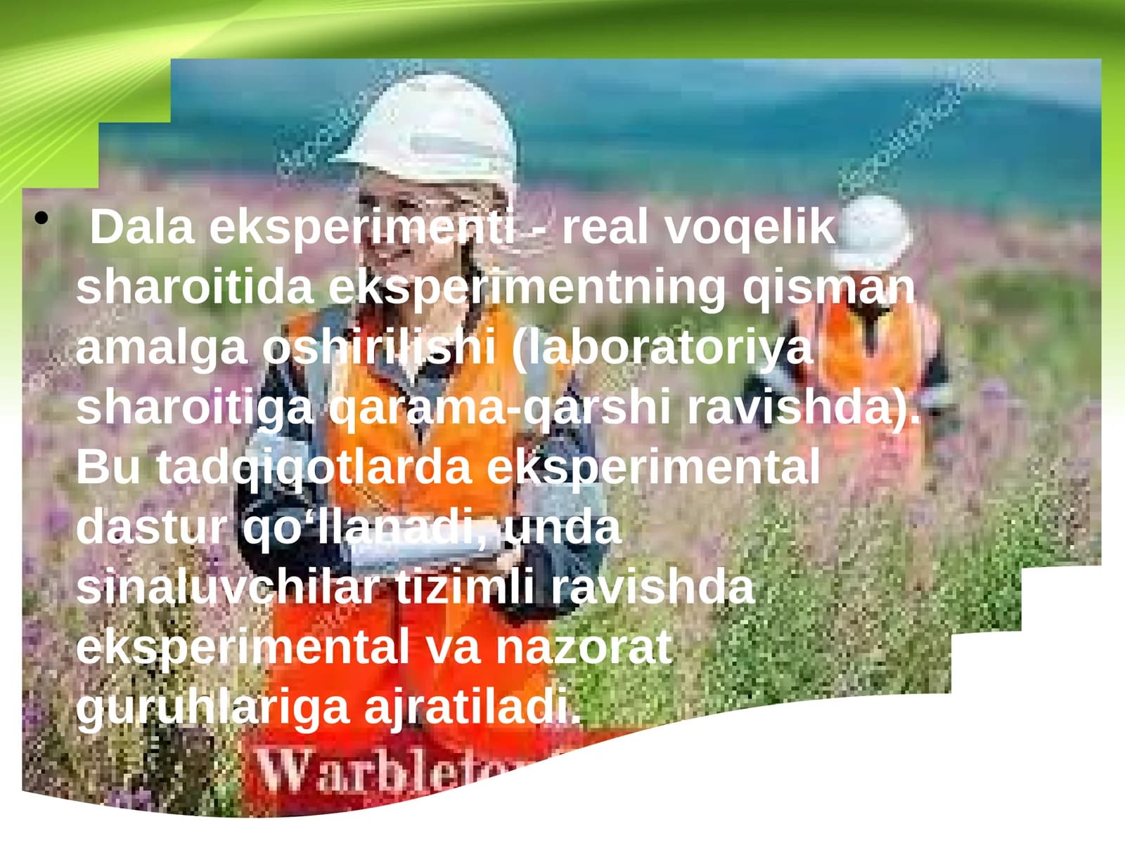 Dala eksperimenti