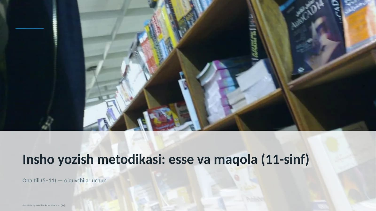 Insho yozish metodikasi: esse va maqola (11-sinf)