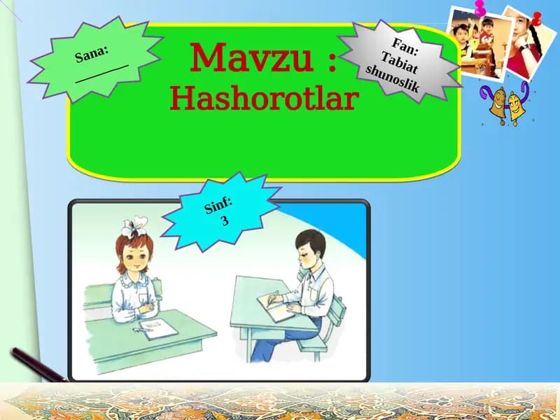 Hashorotlar