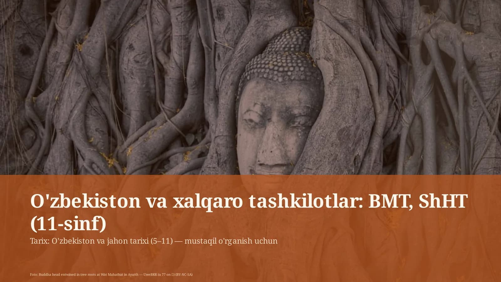 O'zbekiston va xalqaro tashkilotlar: BMT, ShHT (11-sinf)