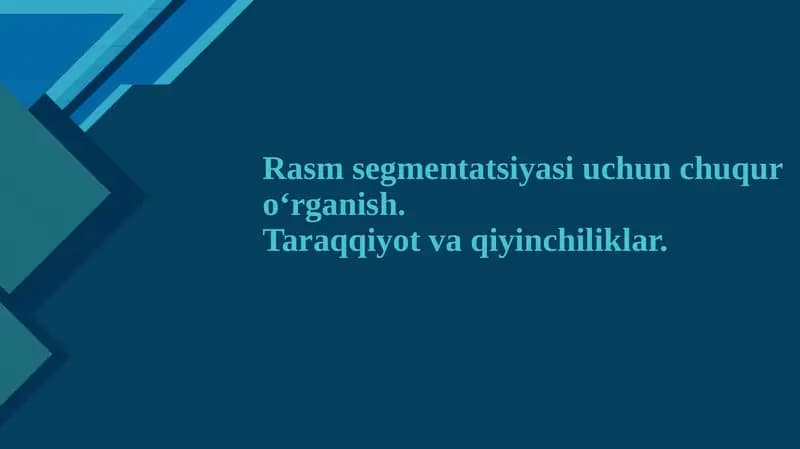 RasmSegmentatsiyasi