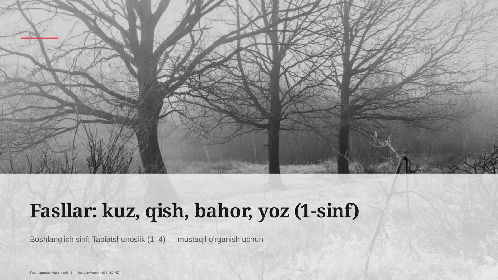 Tabiatshunoslik