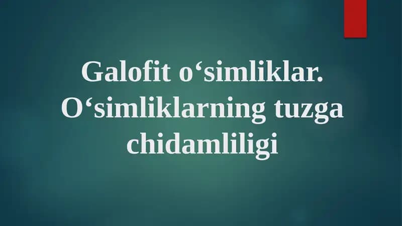 Galofito‘simliklar