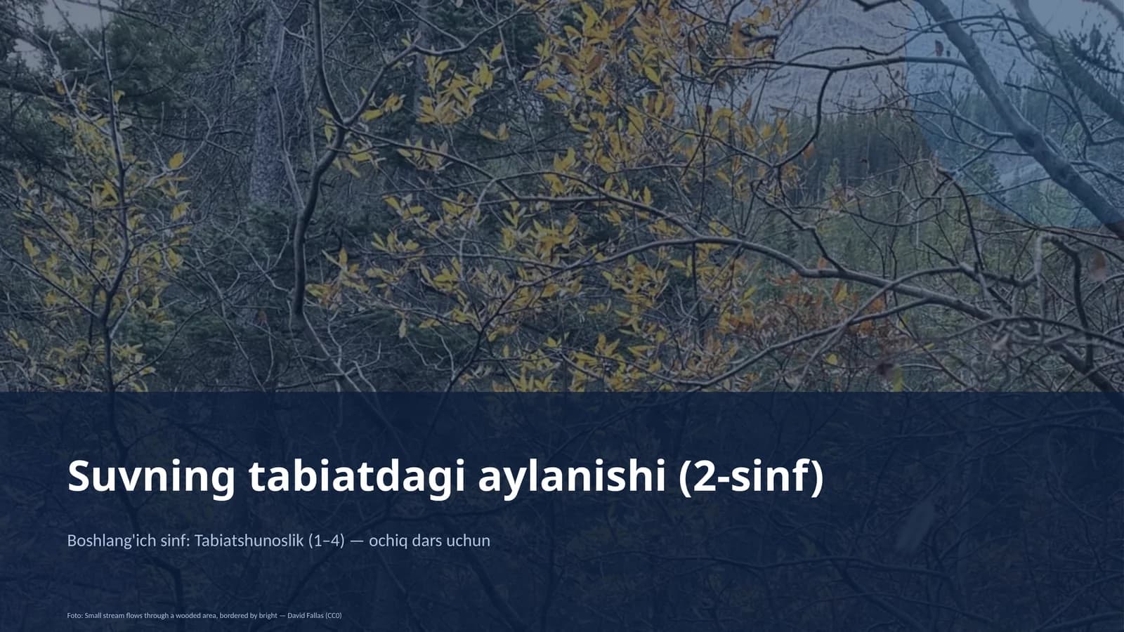 Tabiatshunoslik