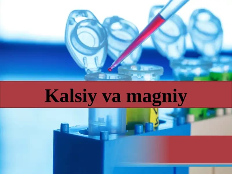 Magniyvakalsiy