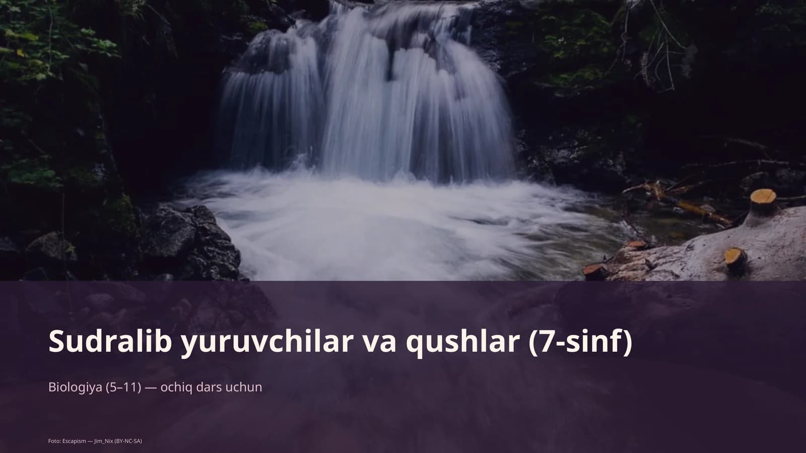 Biologiya (5-11) — ochiq dars uchun