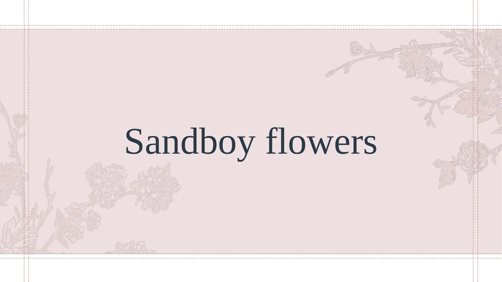 Sandboy flowers Biznes loyiha