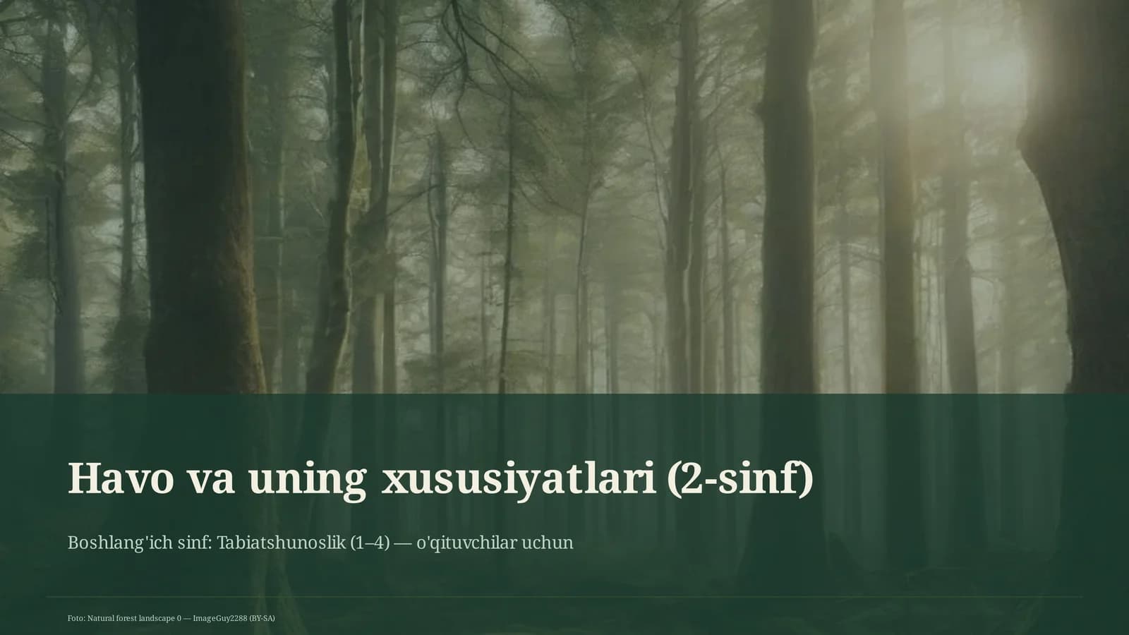 Havo va uning xususiyatlari (2-sinf)