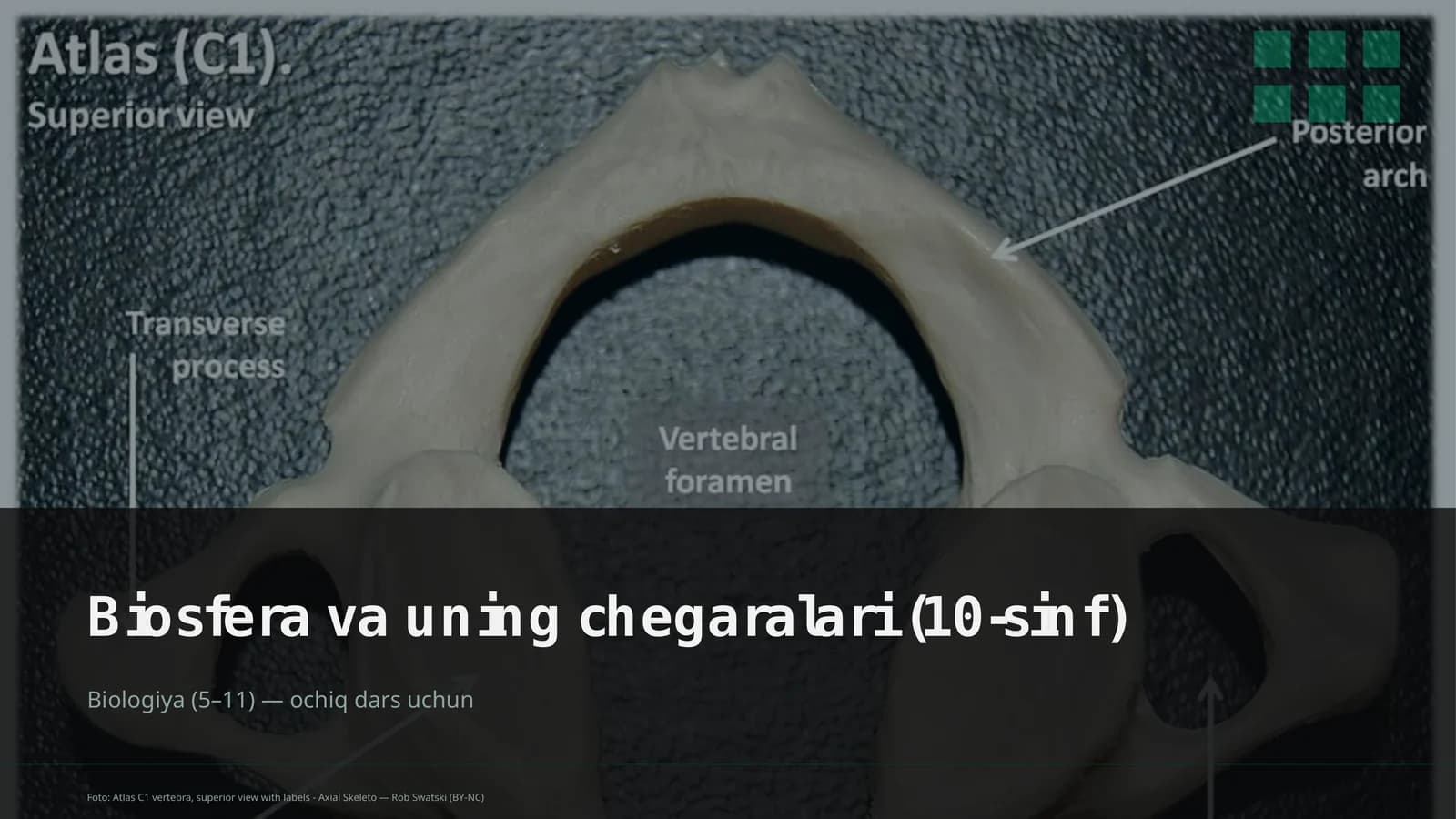 Biosfera va uning chegaralari (10-sinf)