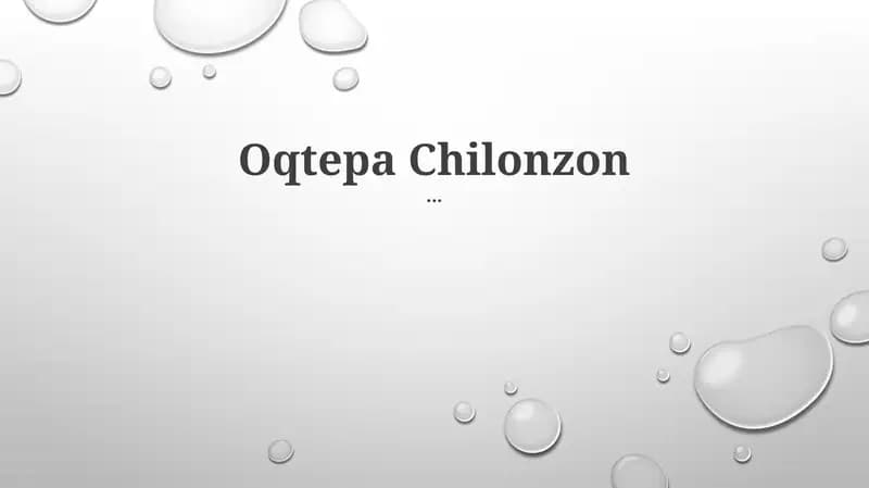 Oqtepa Chilonzon