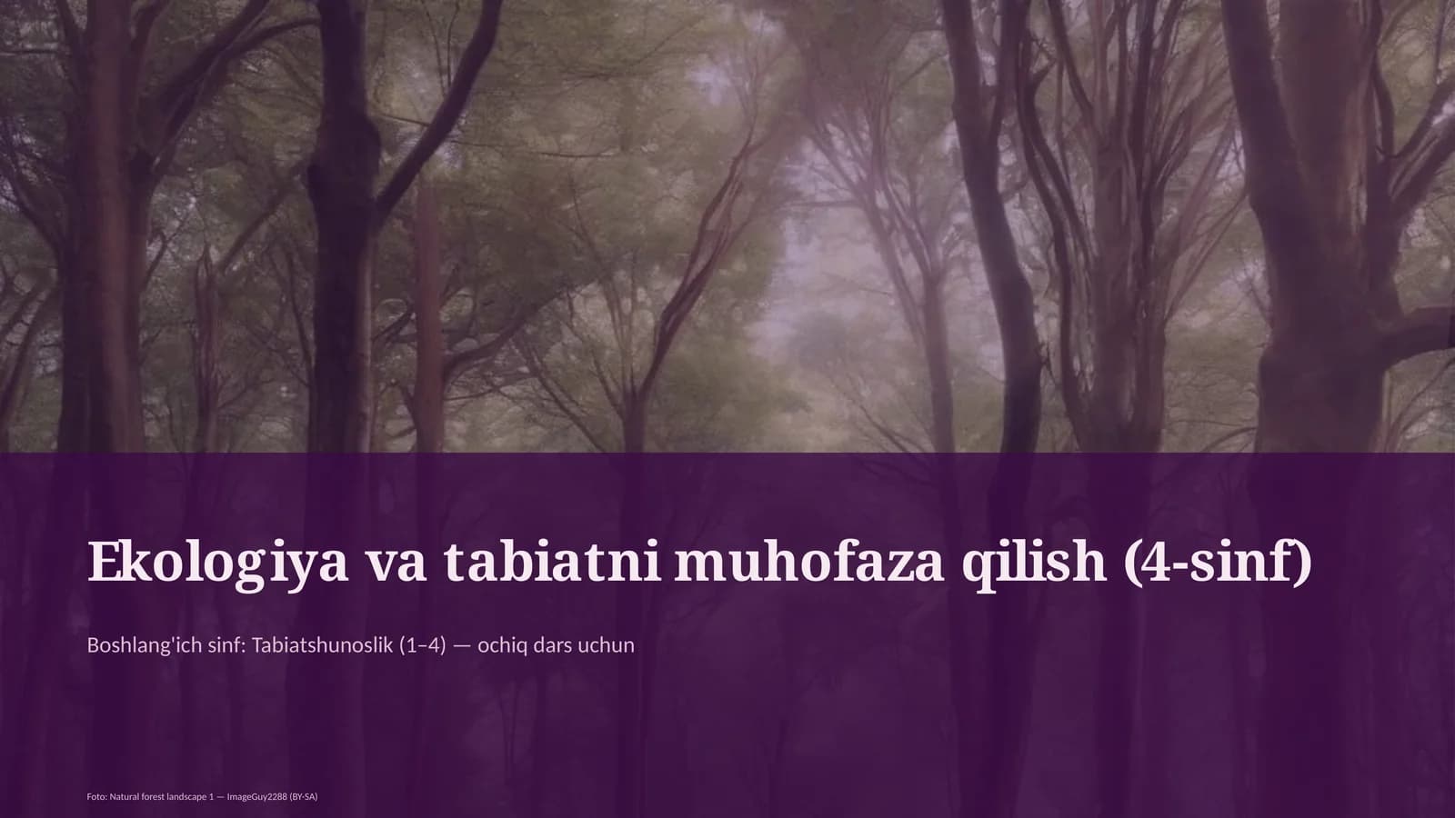 Ekologiya va tabiatni muhofaza qilish (4-sinf)