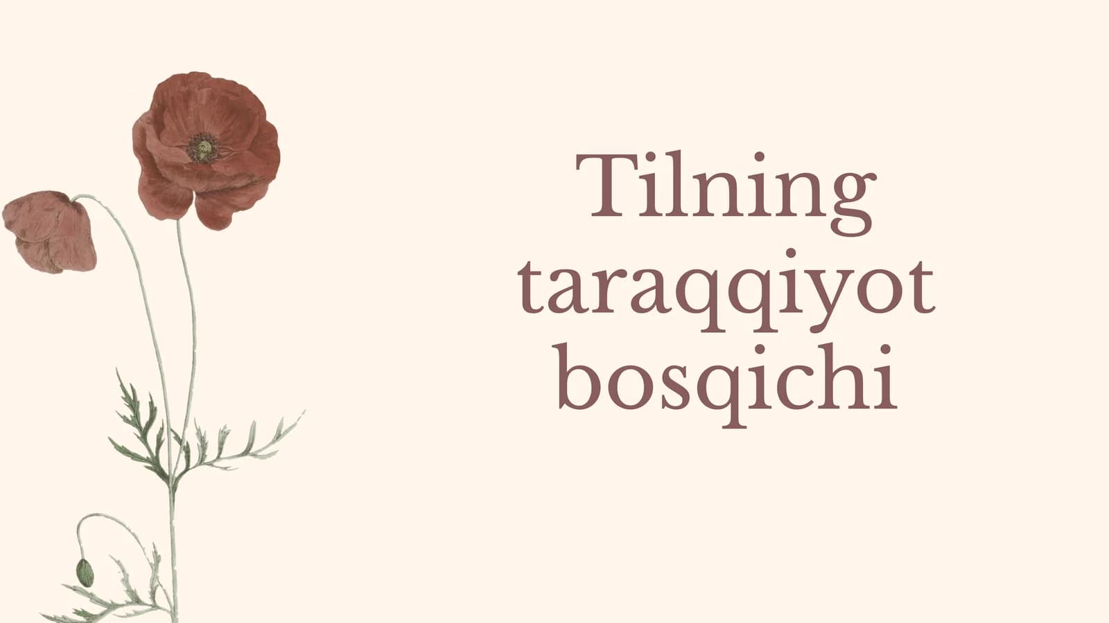 Tilning taraqqiyot bosqichi