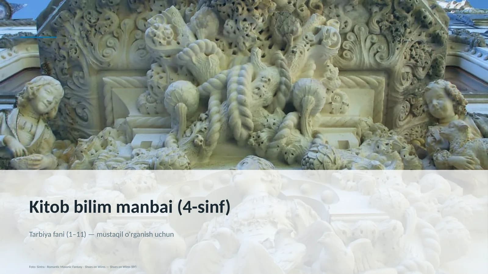 Kitob bilim manbai (4-sinf)