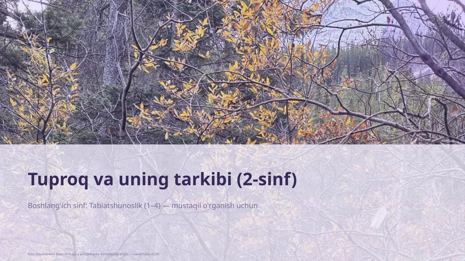 Tuproq va uning tarkibi (2-sinf)