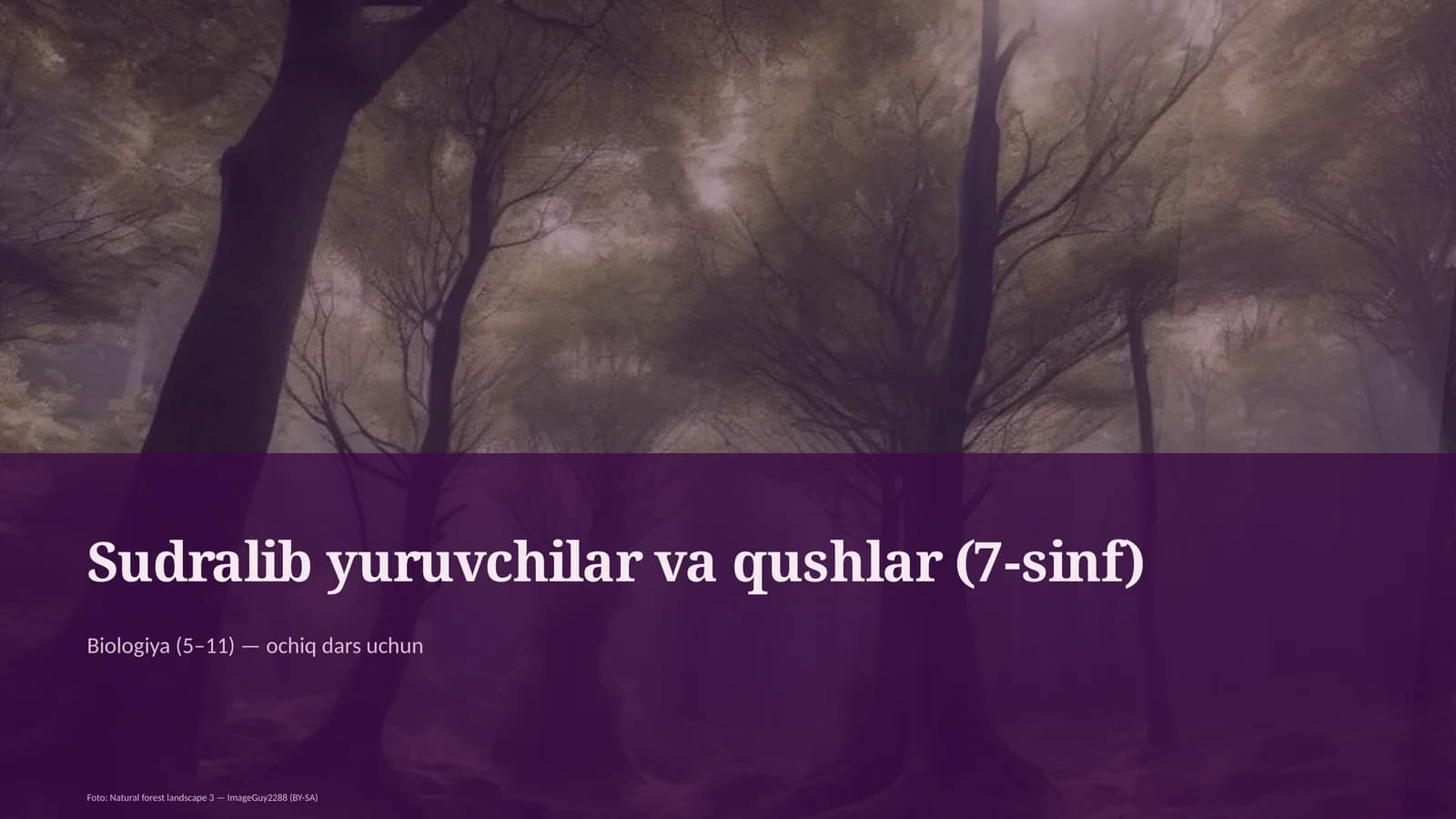 Sudralib yuruvchilar va qushlar (7-sinf)