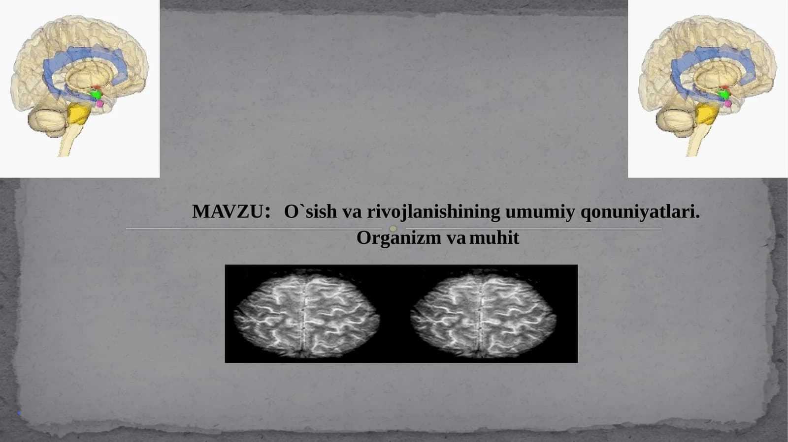 O`sish va rivojlanishning umumiy qonuniyatları
