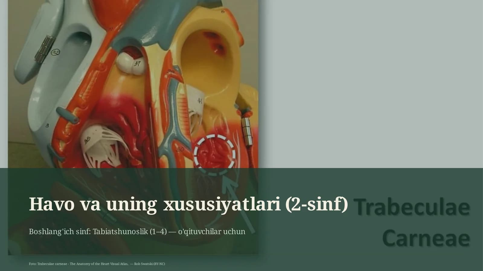 Havo va uning xususiyatlari (2-sinf)