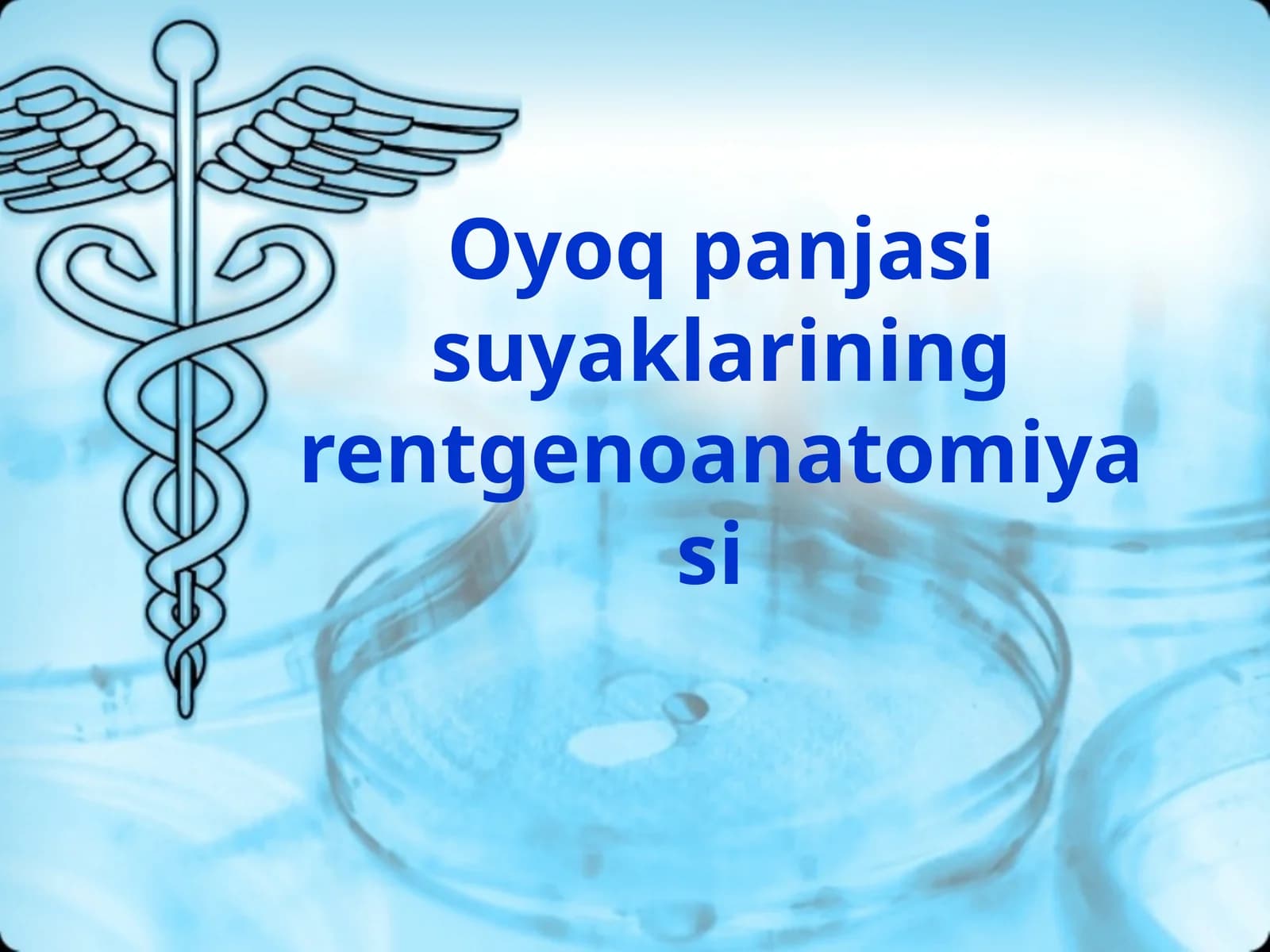 Oyoq panjasi suyaklarining rentgenoanatomiyasi