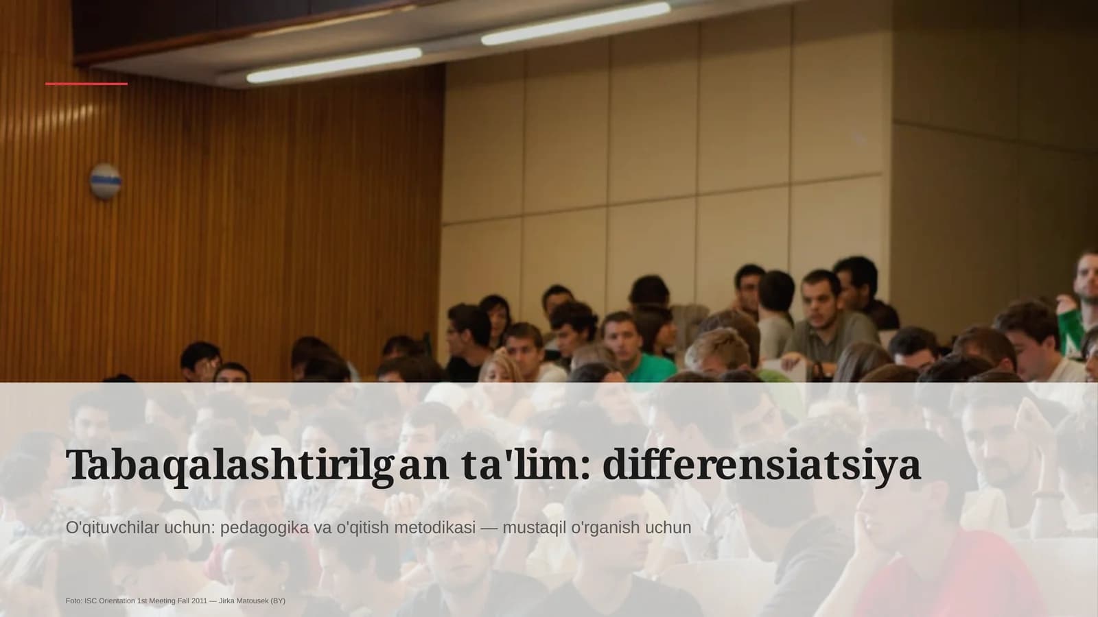 Tabaqalashtirilgan ta'lim: differensiatsiya