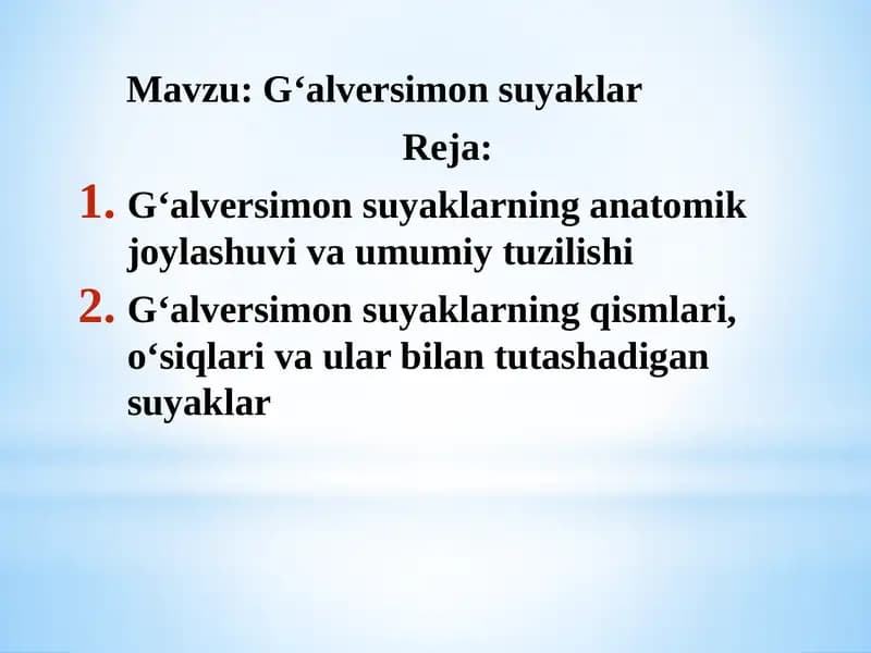 G‘alversimonsuyaklar