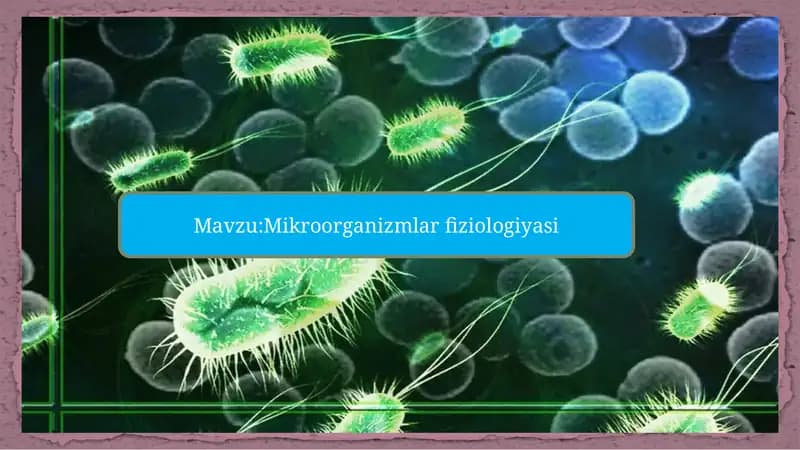 Mavzu:Mikroorganizmlar fiziologiyasi