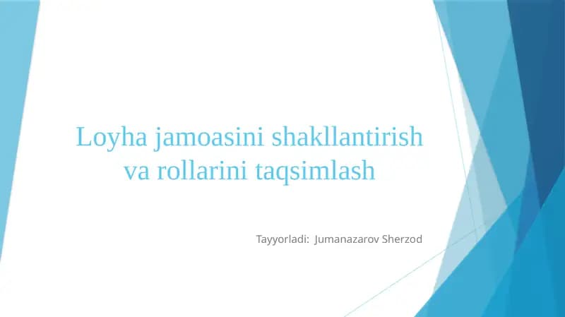 Loyhajamoasinishakllantirishvarollarinitaqsimlash