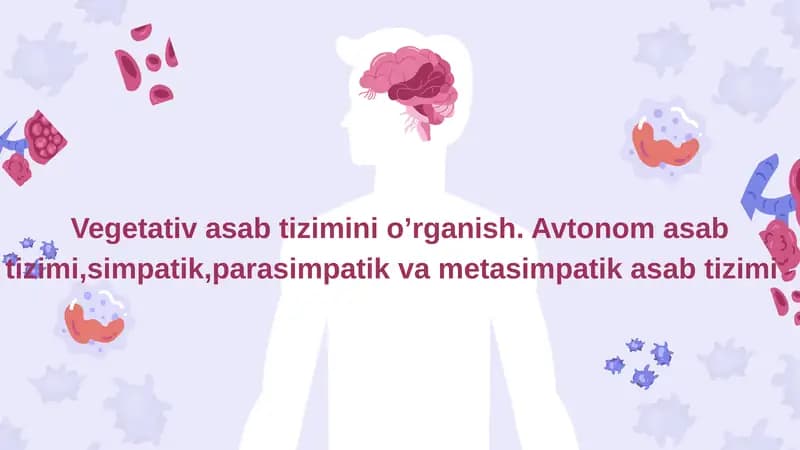 Vegetativ nerv sistemasi