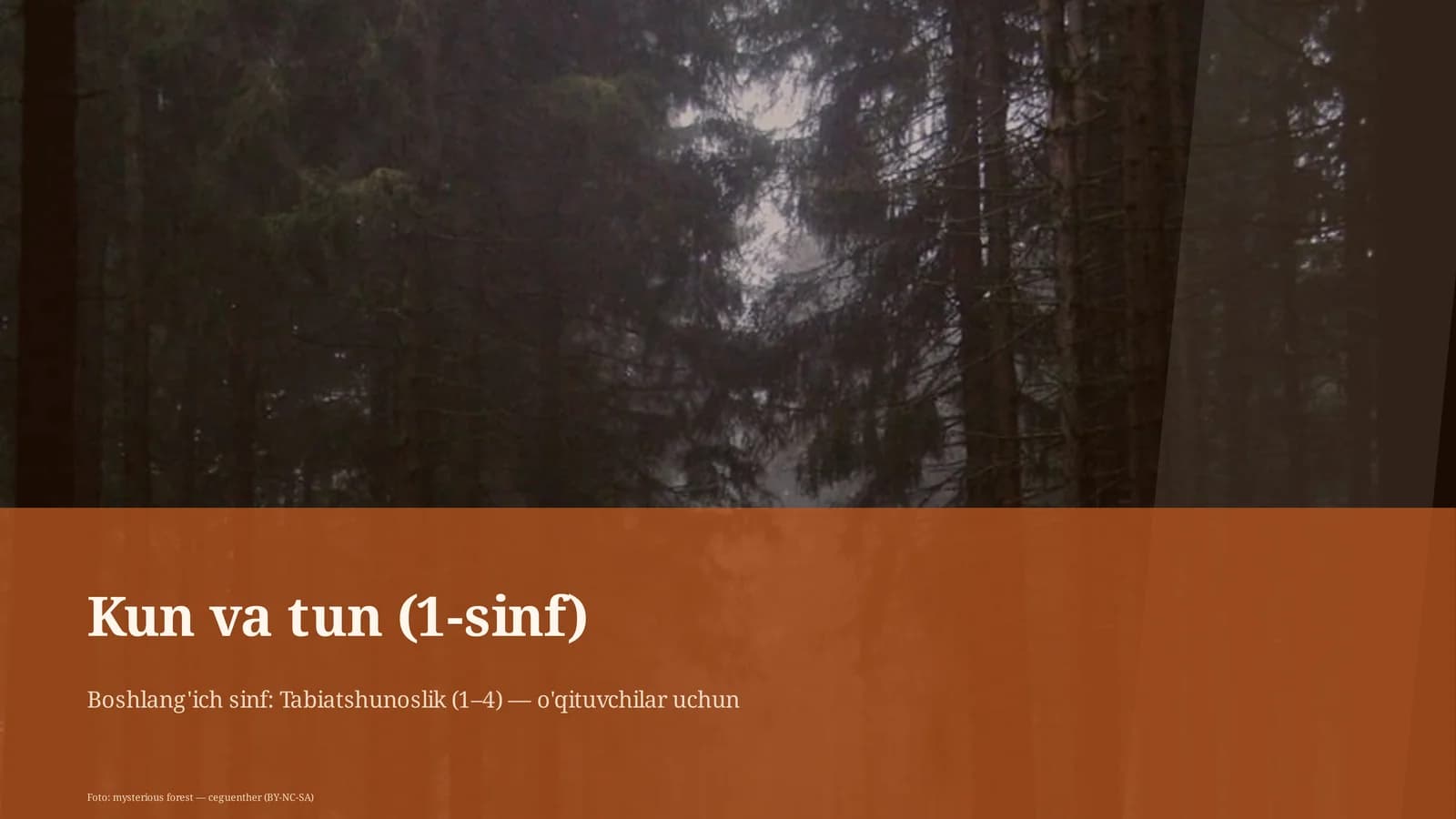 Kun va tun (1-sinf)