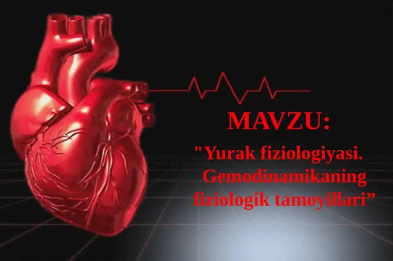 Yurak fiziologiyasi