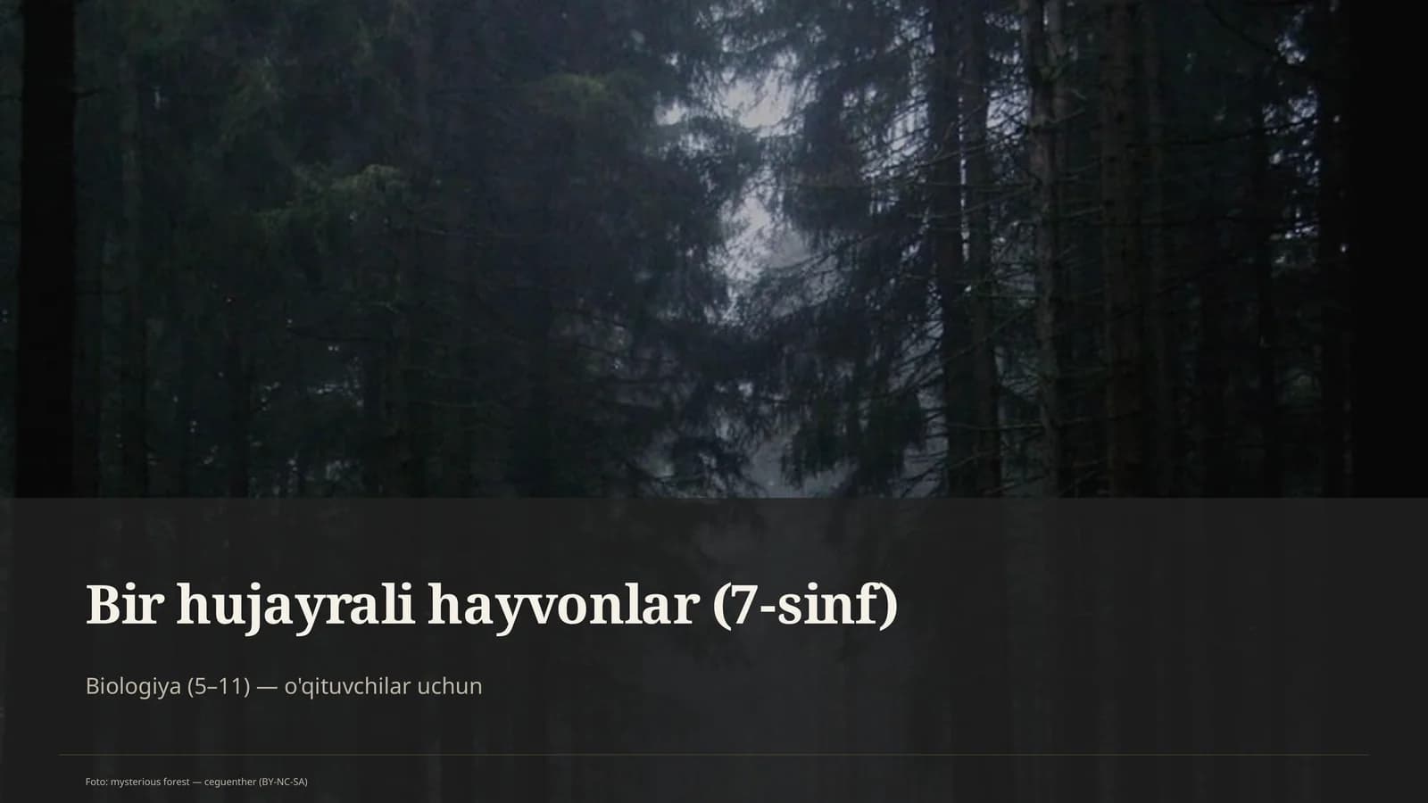 Bir hujayrali hayvonlar (7-sinf)