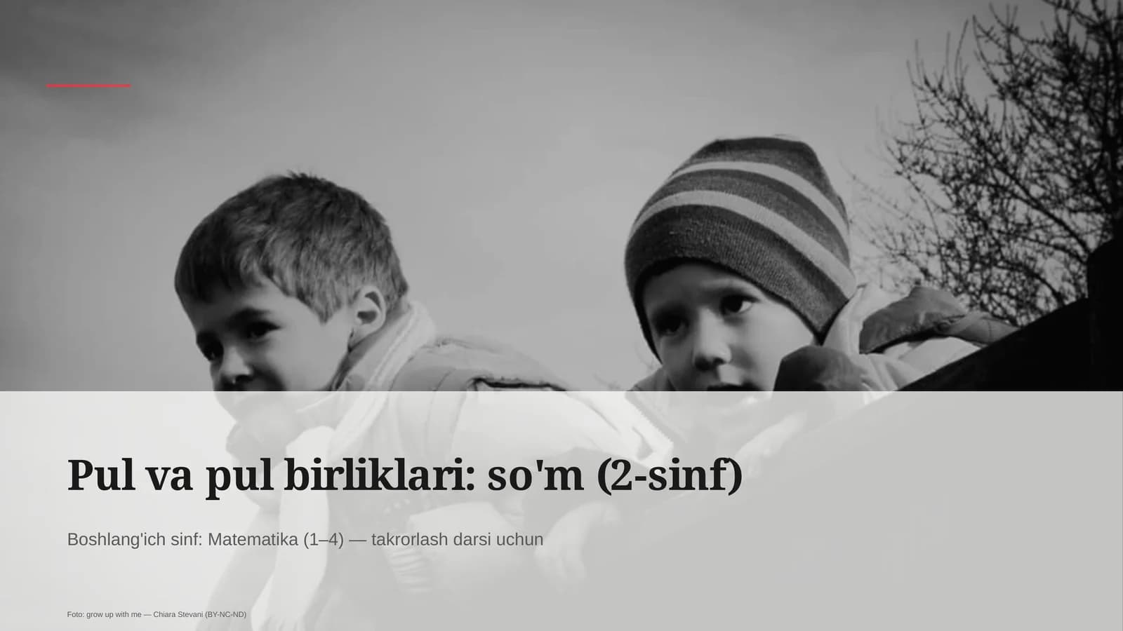 Pul va pul birliklari: so'm (2-sinf)