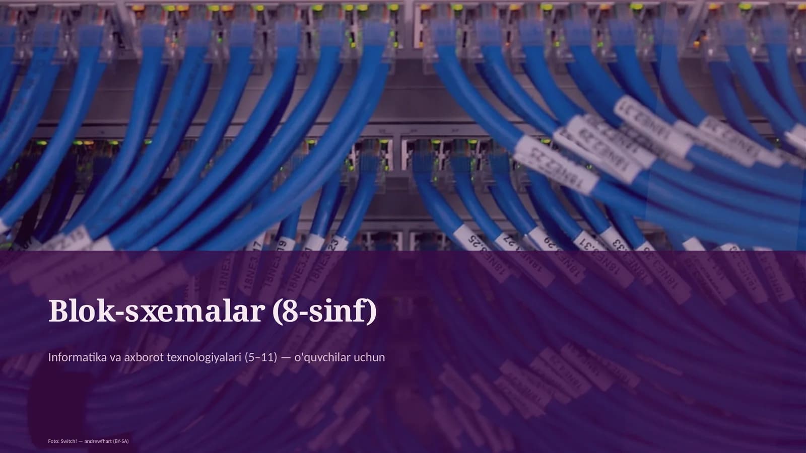 Blok-sxemalar (8-sinf)