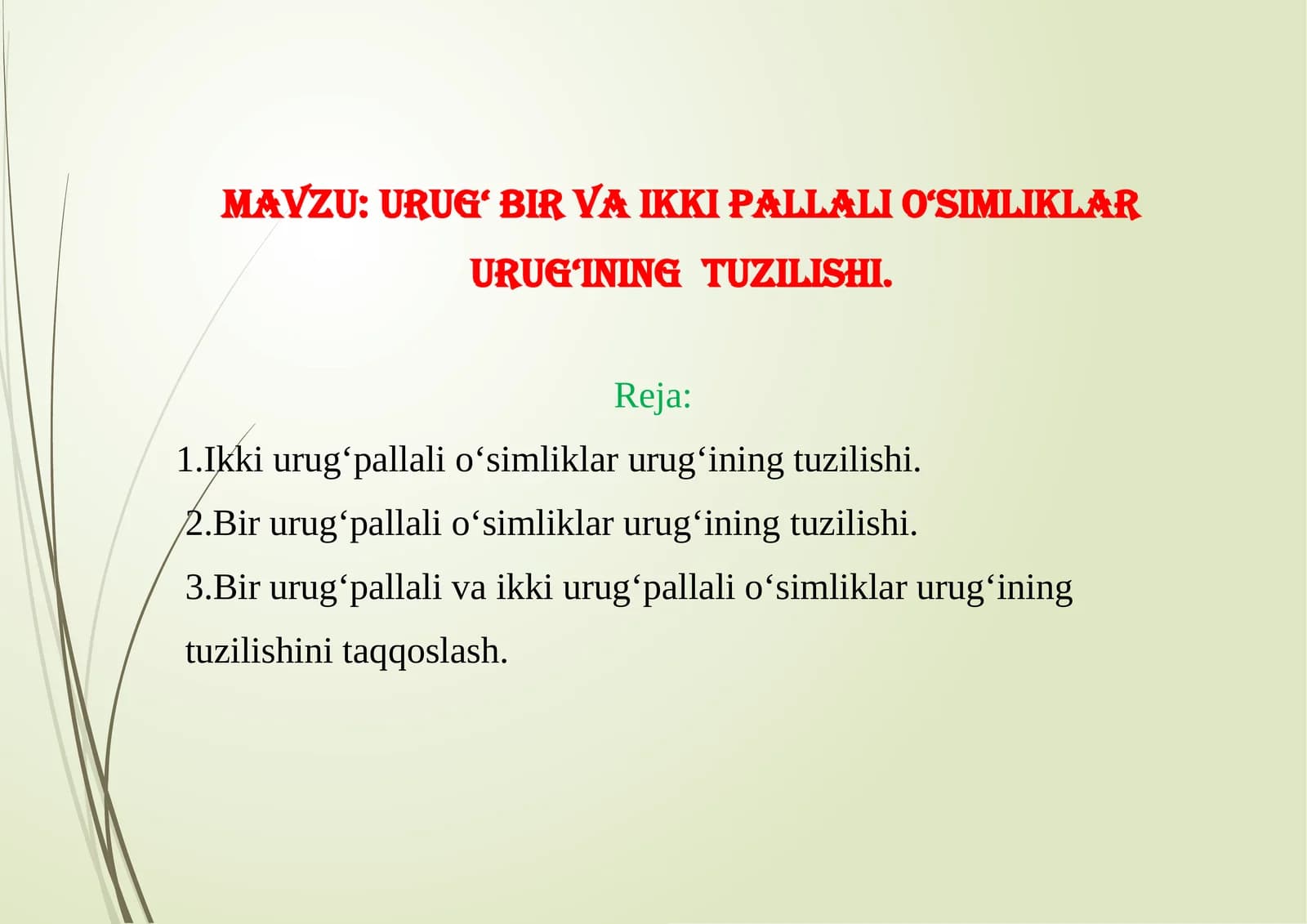 Urug‘ birvaikki pallali o‘simliklarurug‘iningtuzilishi