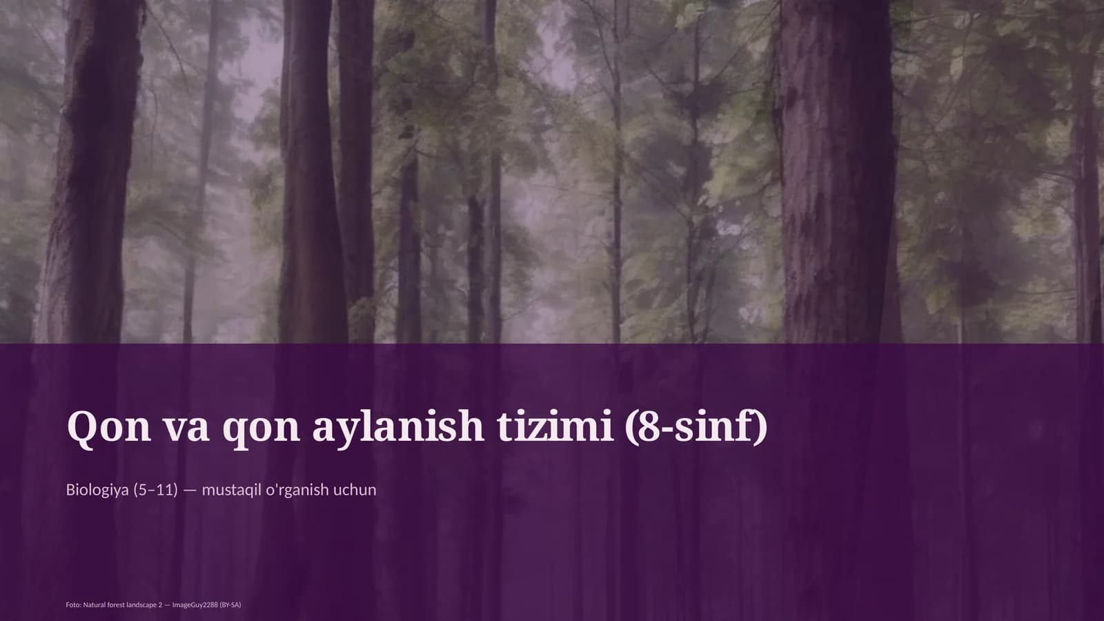 Qon va qon aylanish tizimi (8-sinf)