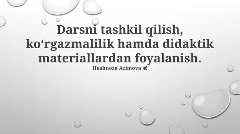Didaktik vositalar