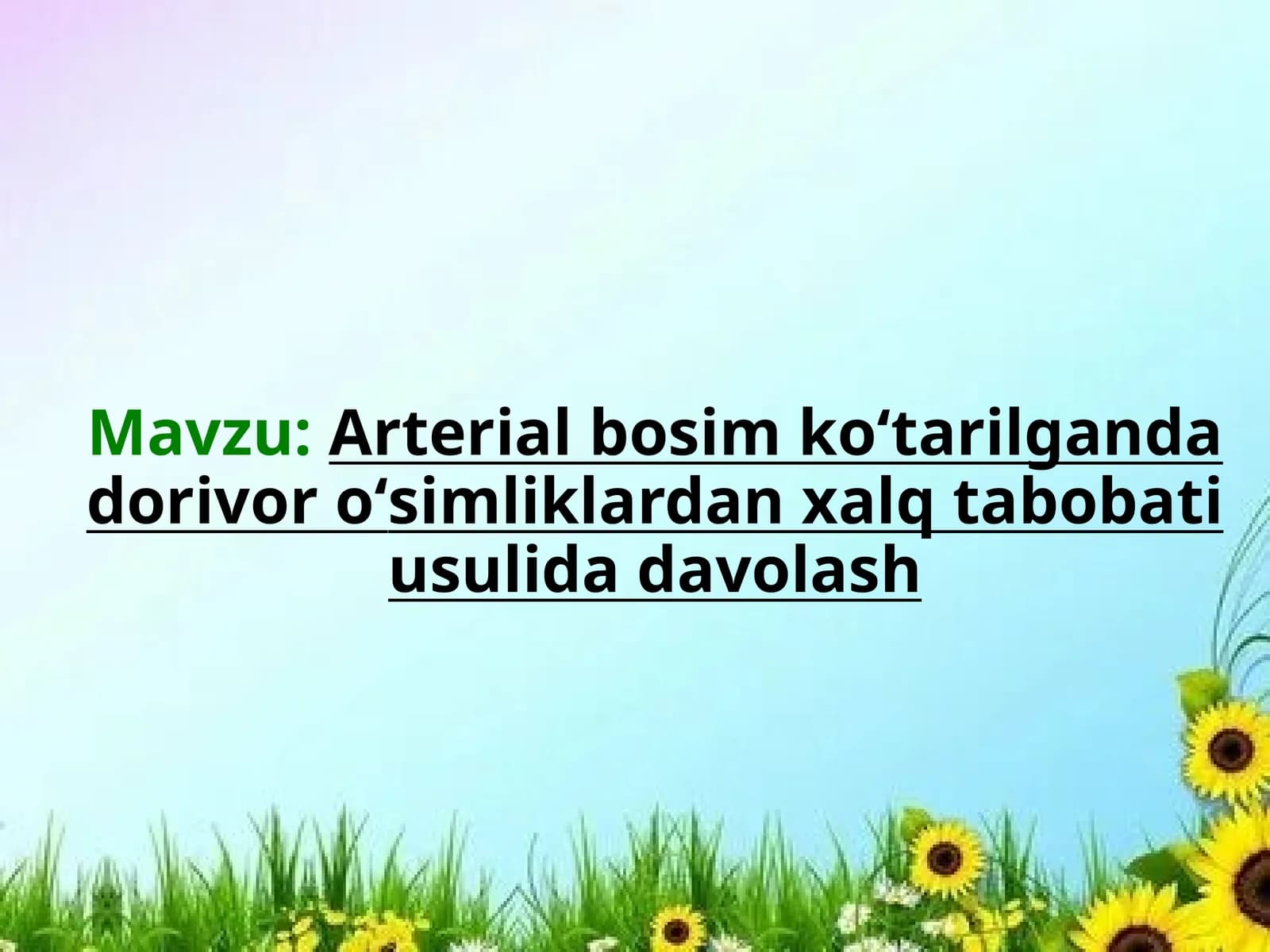 Arterial bosim ko‘tarilganda dorivor o‘simliklardan xalq tabobati usulida davolash