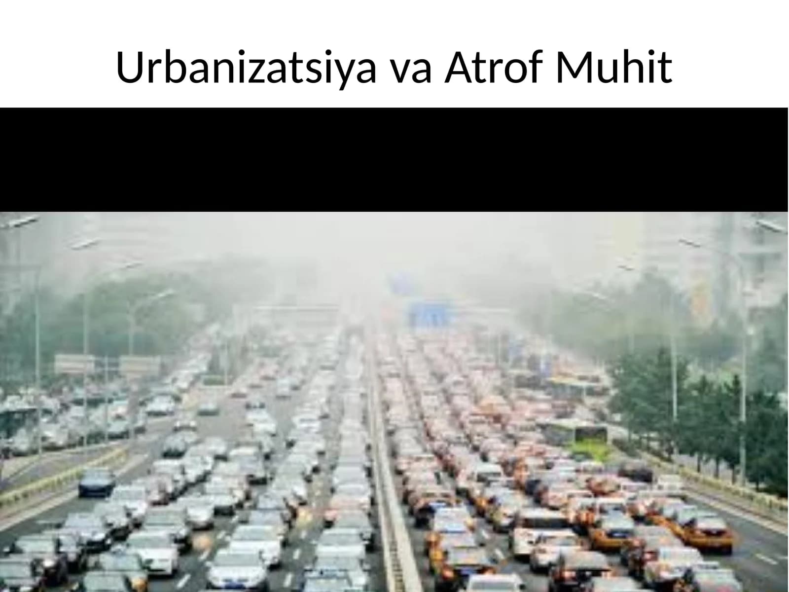 urbanizatsiya atrof muhit