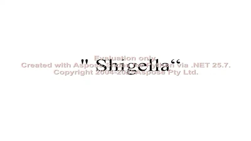 Shigella